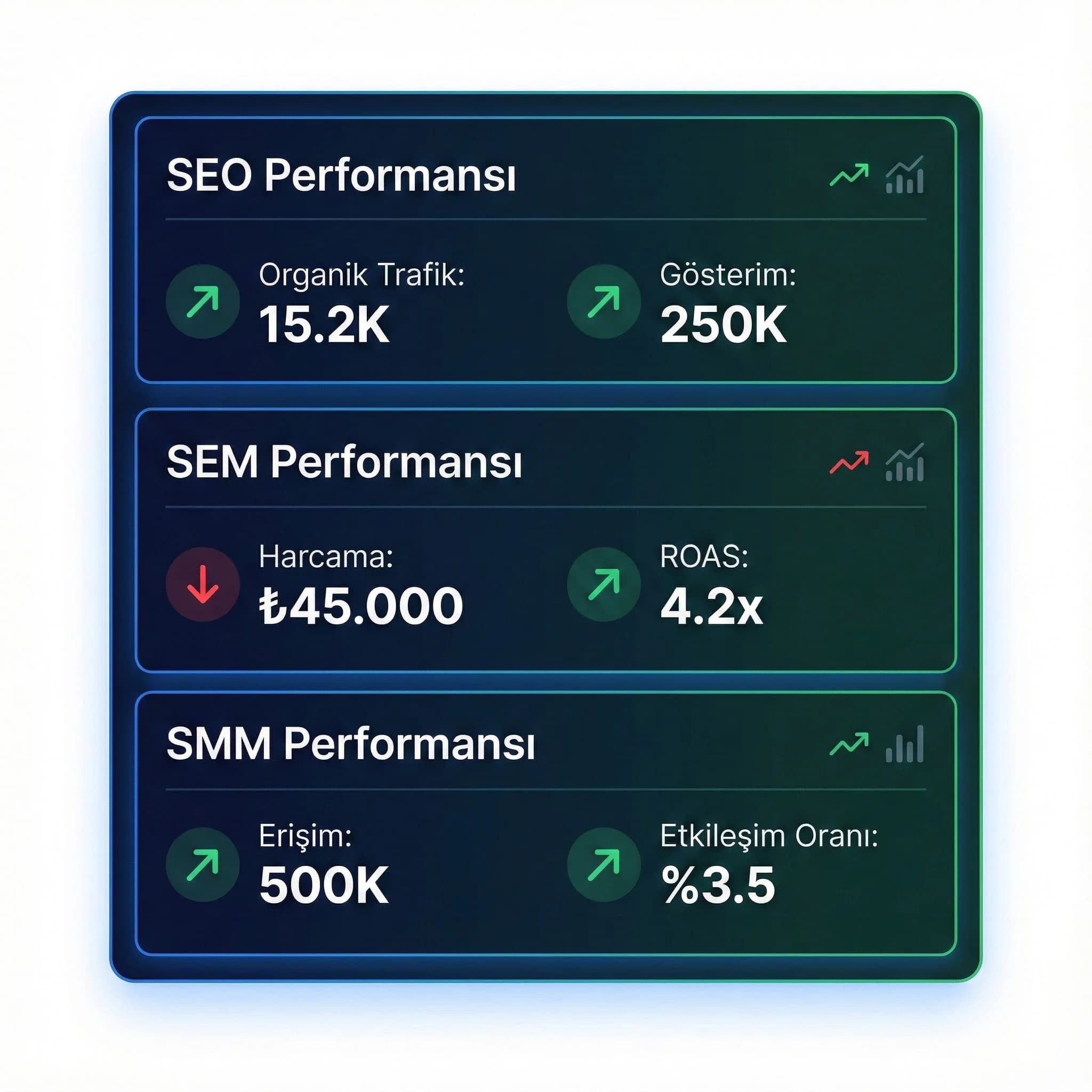 SEO - SEM - SMM Performansı