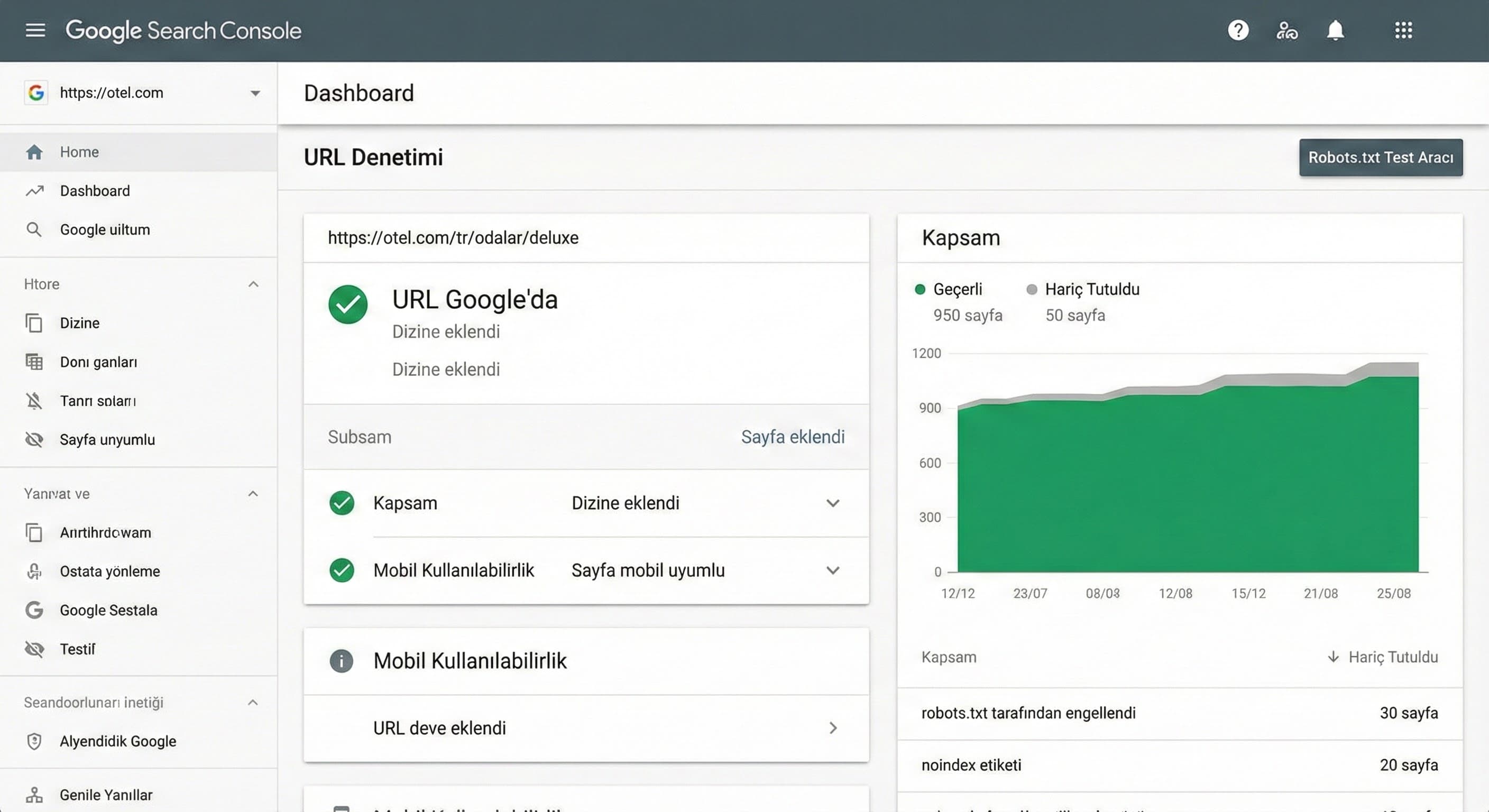 Test ve Doğrulama Süreci (Search Console)