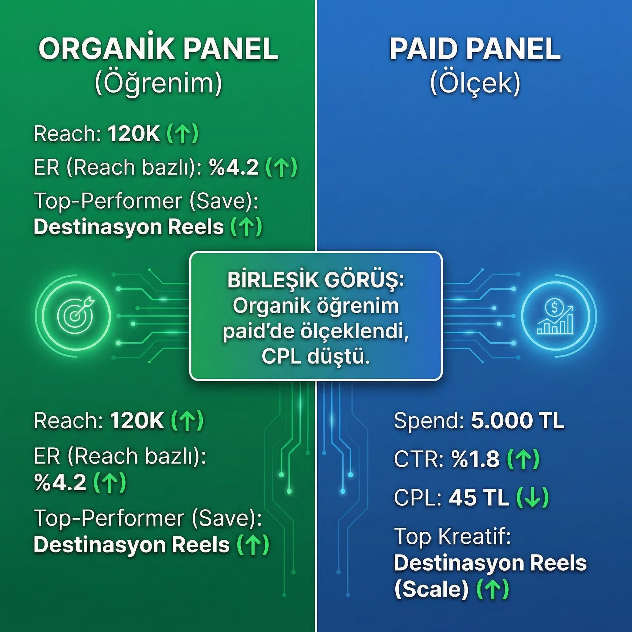 Organik ve paid KPI skor kartı, bütçe performans kıyası, turizm ve B2B raporu